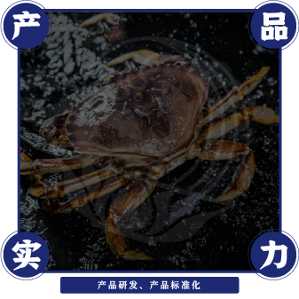 舢鲜海鲜面产品研发、产品标准化